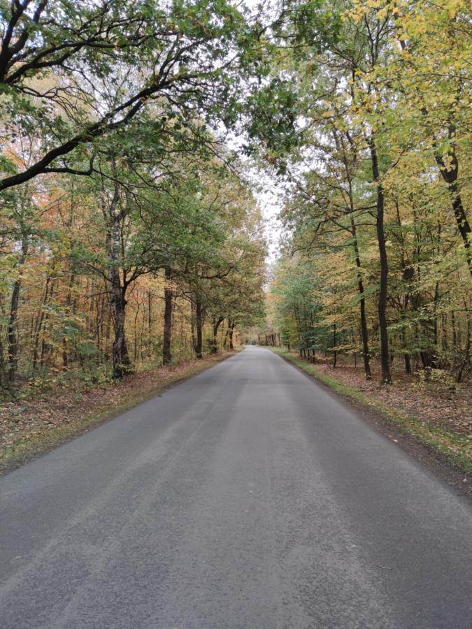 Landbrise Villa Petersfeld Eksteriør billede